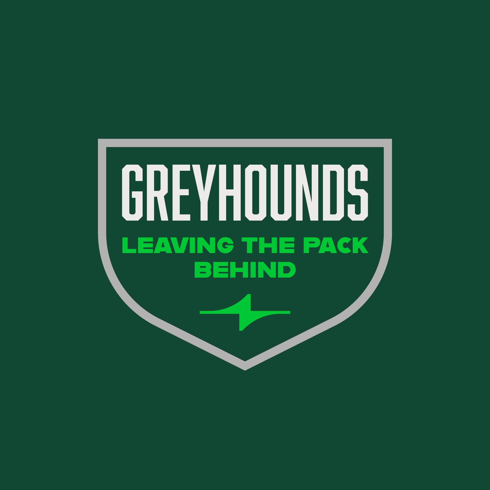 illustration affiche Poster planche encyclopédie scarabées risographie